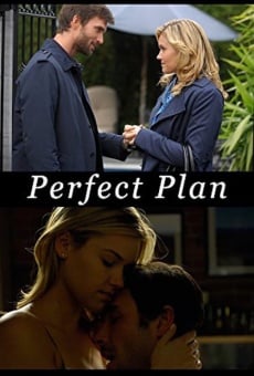 Perfect Plan (2010)