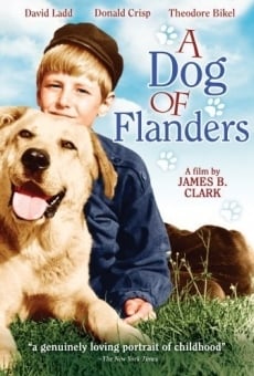 A Dog of Flanders online free