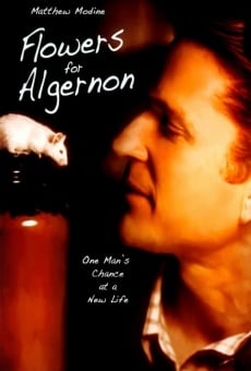 Flowers For Algernon (2000)