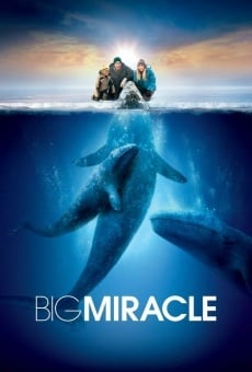 Big Miracle on-line gratuito