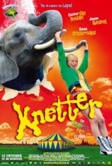 Knetter (2005)
