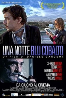 Una notte blu cobalto (2009)