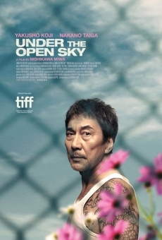 Under the Open Sky online streaming