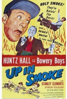 Up In Smoke online streaming