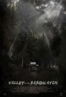 Película: Valley of the Sasquatch