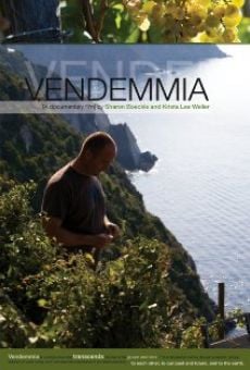 Vendemmia on-line gratuito