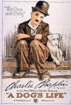 A Dog's Life (1918)