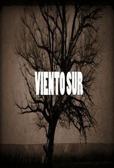 Viento Sur