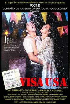 Visa USA online free
