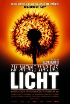 Am anfang war das licht (2010)