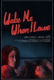 Wake Me When I Leave (2015)