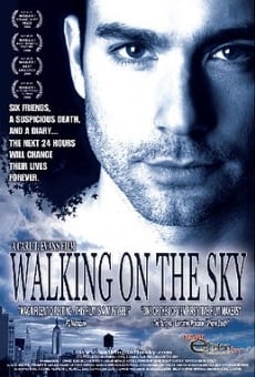 Walking on the Sky online streaming