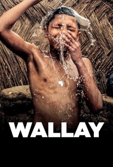 Película: Wallay