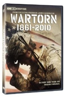 Película: Wartorn: 1861-2010