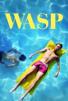 Wasp gratis