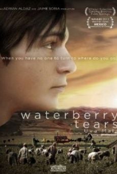 Waterberry Tears gratis