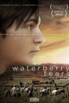 Waterberry Tears (2010)