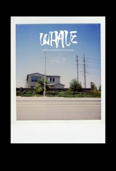 Película: Whale