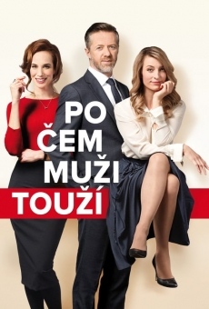 Po cem muzi touzí (2018)