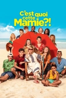 C'est quoi cette mamie ?! online streaming