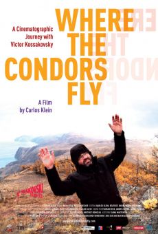 Where the Condors Fly