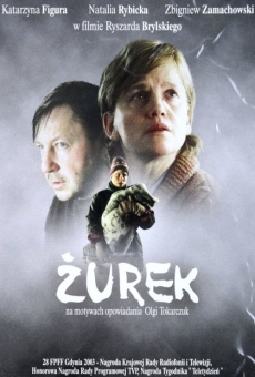 Zurek (2003)
