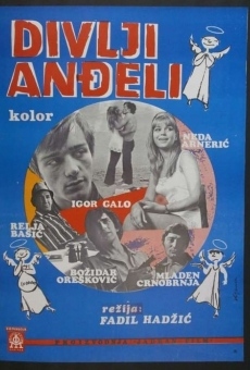 Divlji andjeli (1969)