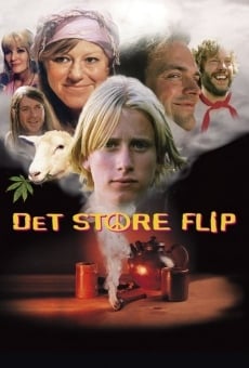 Det store flip online