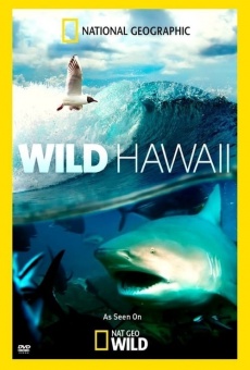 Película: Wild Hawaii