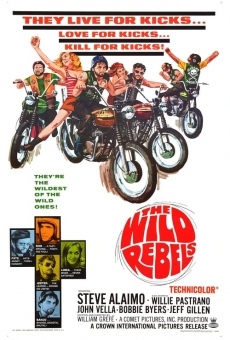Película: Wild Rebels