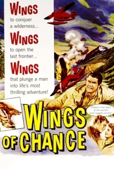 Wings of Chance on-line gratuito