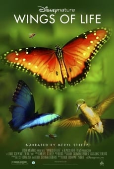 Wings of Life on-line gratuito