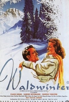 Waldwinter (1956)