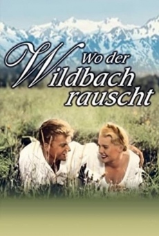 Wo der Wildbach rauscht (1956)
