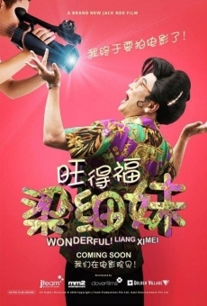 Película: Wonderful! Liang Xi Mei