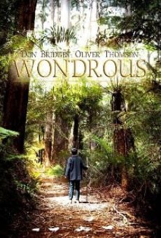 Película: Wondrous