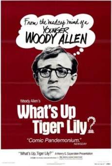 La première folie de Woody Allen en ligne gratuit