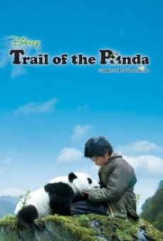 Película: Xiong mao hui jia lu