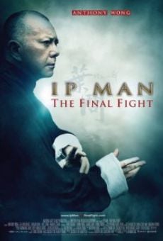 Ip Man: The Final Fight online streaming