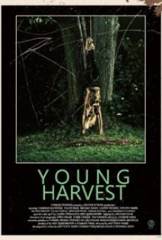 Young Harvest stream online deutsch
