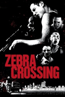 Película: Zebra Crossing