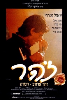 Zohar (1993)