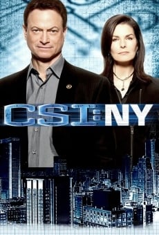 C.S.I.: NY (aka C.S.I.: New York)