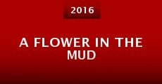 A Flower in the Mud