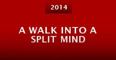 A Walk Into a Split Mind