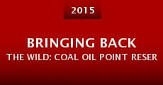 Bringing Back the Wild: Coal Oil Point Reserve