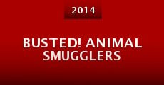 Busted! Animal Smugglers