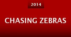 Chasing Zebras