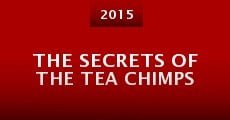 The Secrets of the Tea Chimps
