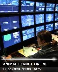 Animal Planet en vivo